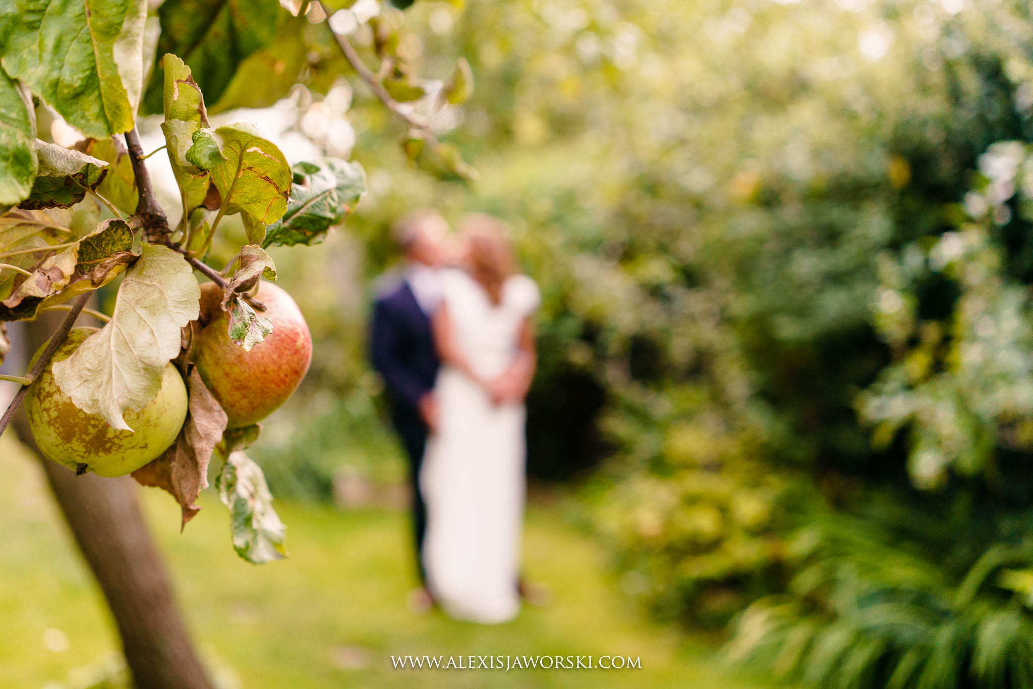 portrait of bride and groom
