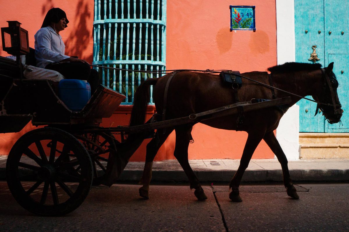 Cartagena horses