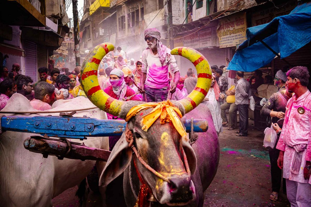 Holi Street Photography