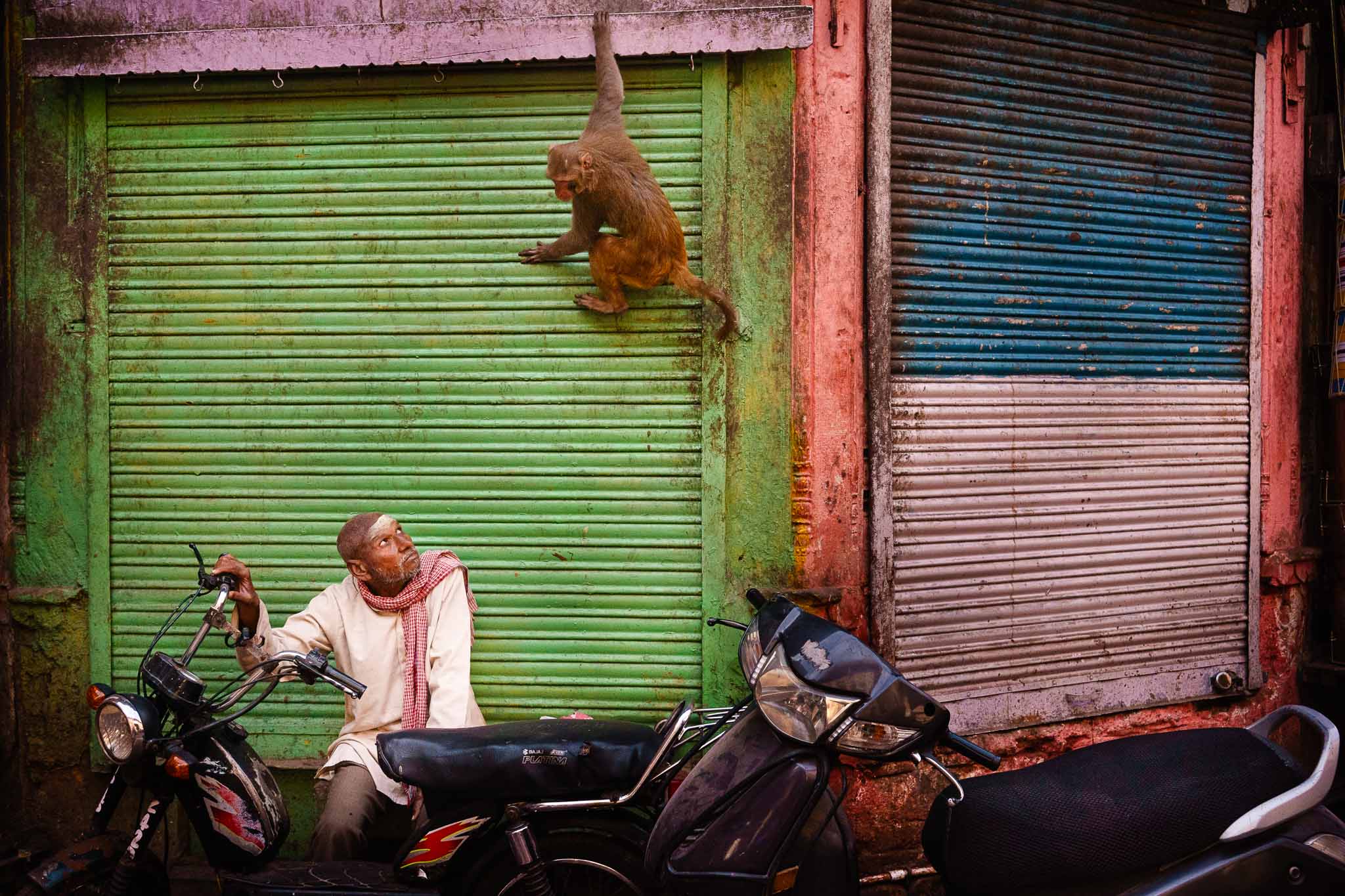 Holi Street Photography