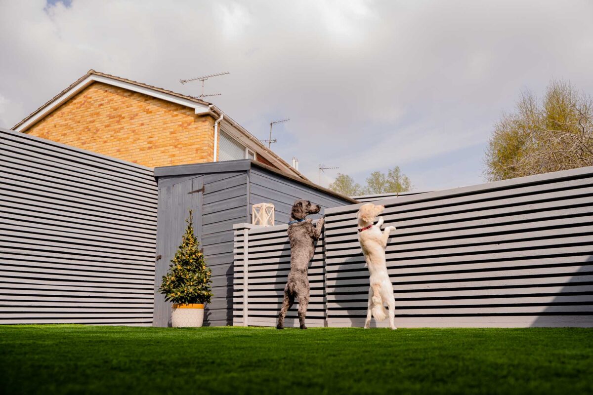 Commercial & Editorial Photographer in Reading